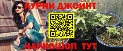 гидра Малгобек