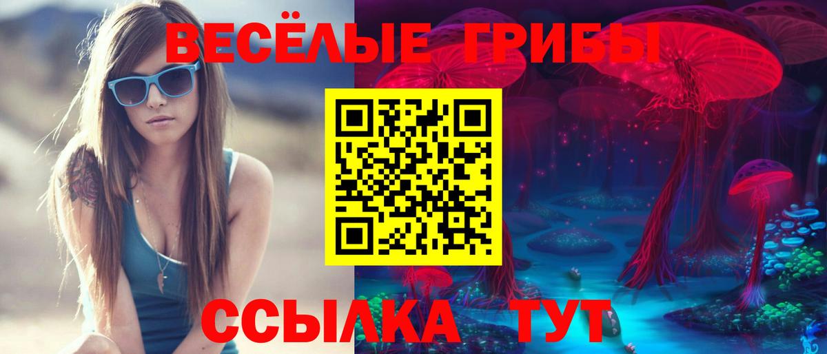 Псилоцибиновые грибы MAGIC MUSHROOMS Вятские Поляны