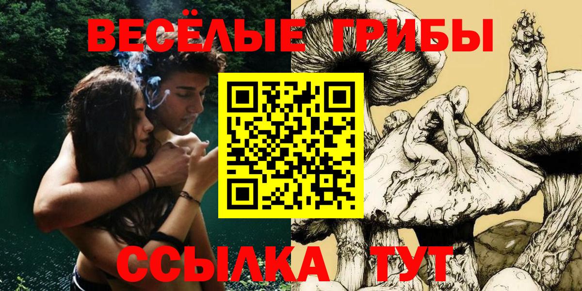 Псилоцибиновые грибы ЛСД  Вход с VPN  Вятские Поляны 